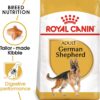 Royal Canin طعام جاف للراعي الألماني البالغ