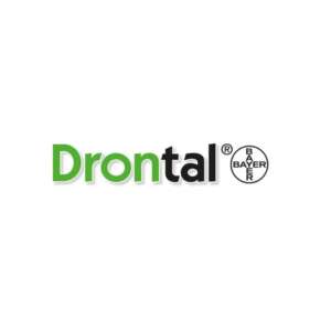 logo-drontal-600x600-min6274 (1)